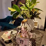 Apartment Cosy Avec Avec Jardin Et Parking Privatifs - Hautes Vosges *