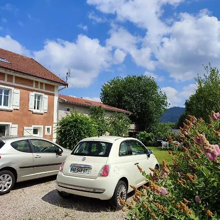 Apartmán Cosy Avec Avec Jardin Et Parking Privatifs - Hautes Vosges *