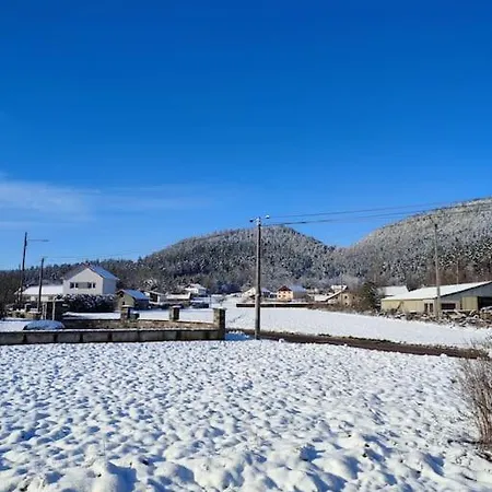 Cosy Avec Avec Jardin Et Parking Privatifs - Hautes Vosges Lägenhet *