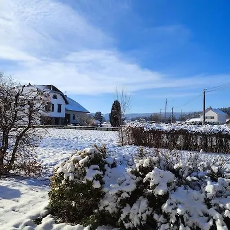 Appartement Cosy Avec Avec Jardin Et Parking Privatifs - Hautes Vosges