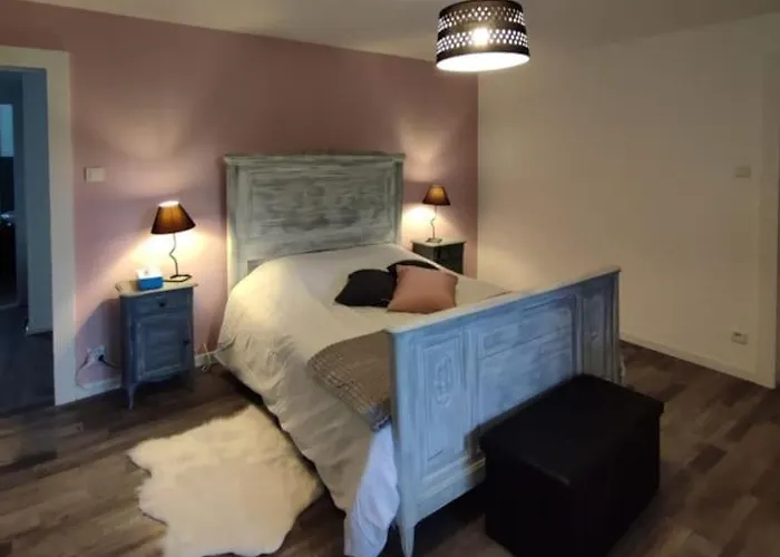 Apartmán Cosy Avec Avec Jardin Et Parking Privatifs - Hautes Vosges