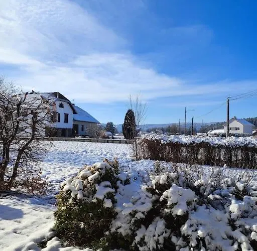 Apartmán Cosy Avec Avec Jardin Et Parking Privatifs - Hautes Vosges